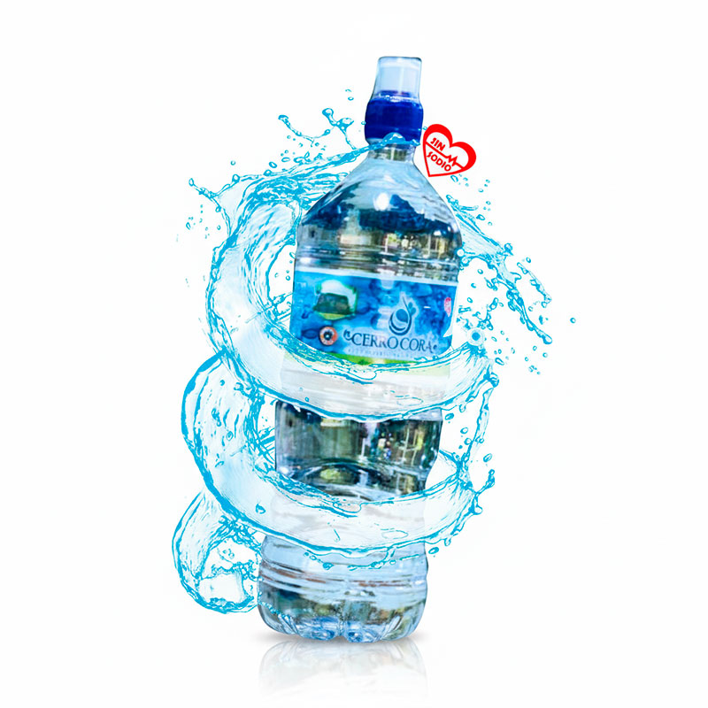 Agua de 1 Litro