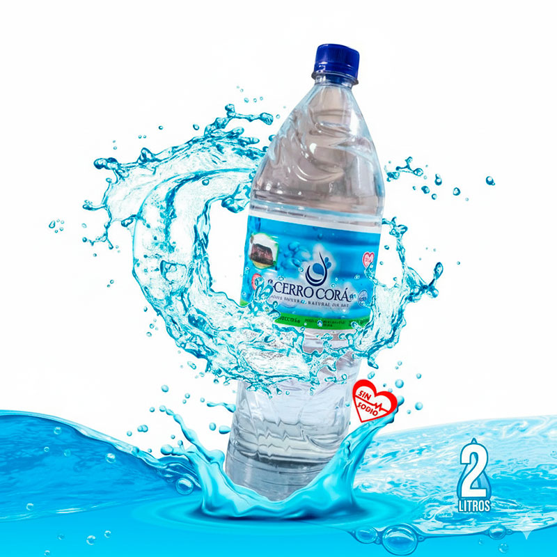 Agua de 2 Litros