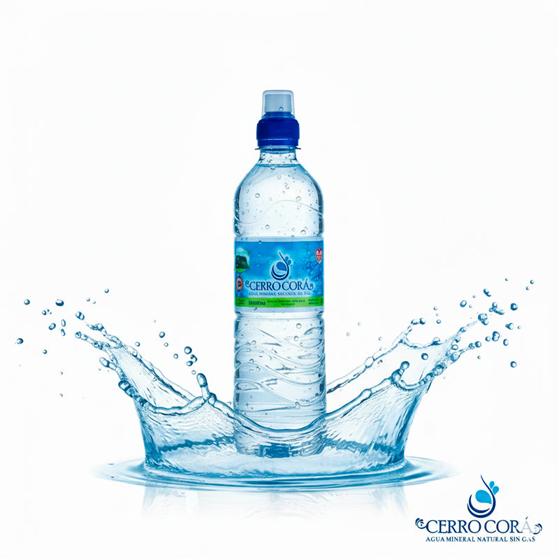 Agua de 500 ml